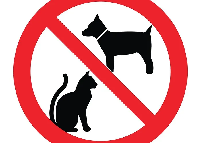 公寓 Am Meer- Urlaub Auf Der Insel Usedom- White Space Ii By Interhome 斯维诺乌伊希切